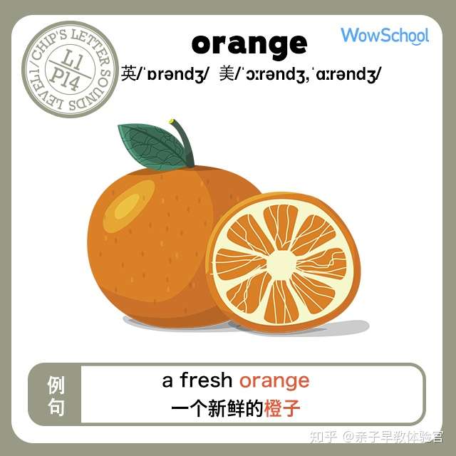 英语启蒙神器丨英语闪卡的初级玩法 知乎