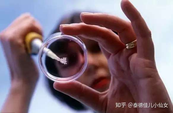 成都助孕多少钱（第三代试管婴儿流程详解，每一步都很详细哦！）