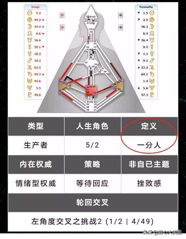 人類圖中的定義這個欄位是什麼意思?