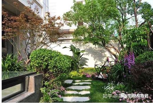 园林植物i考点 不同园林用途的树木种类分类 知乎