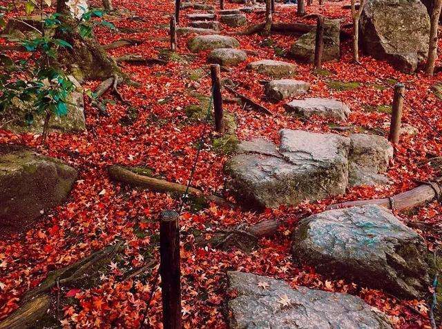 收藏丨日本红叶狩名所推荐上集 知乎