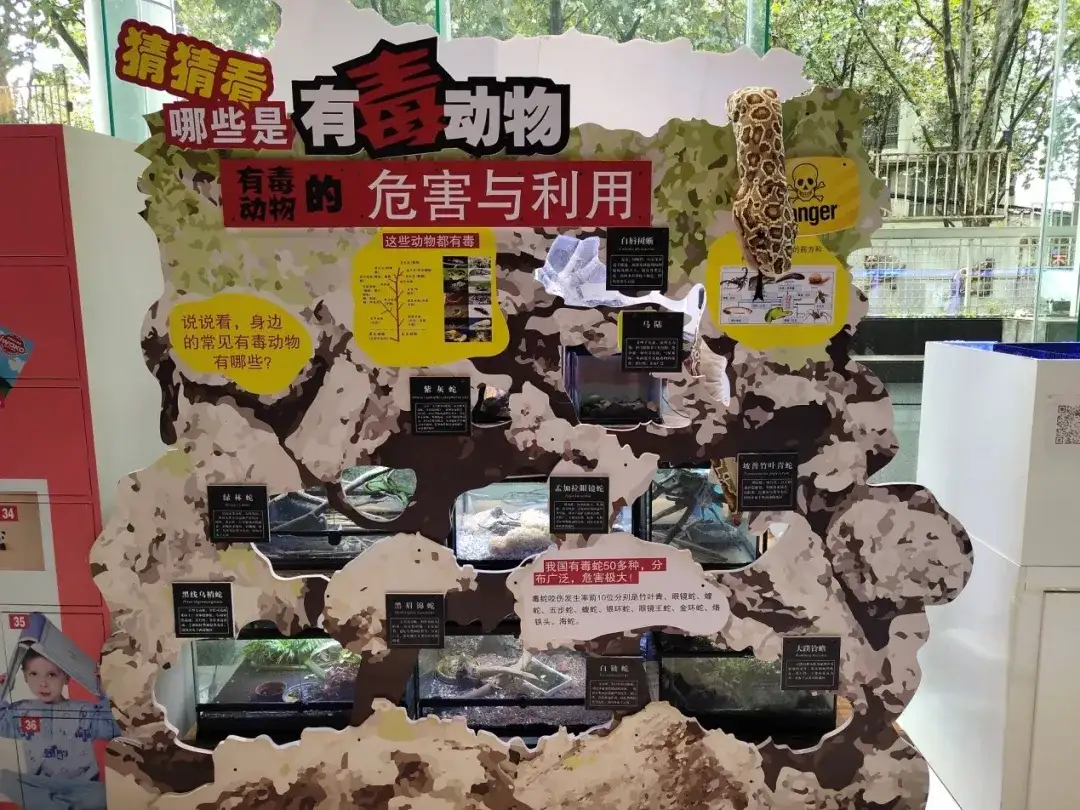 蛇是 卵生 还是 胎生 知乎