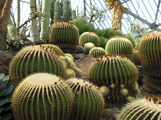 伊豆24小时 带上你的她去伊豆吧 知乎