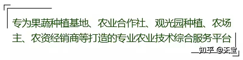 沙土 黏土 盐碱土改良小技巧 知乎