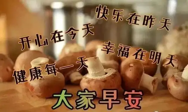 早晨好问候语录暖心句子送给你，清晨慰问朋友的早上好祝福句子（早上问候朋友的祝福语）