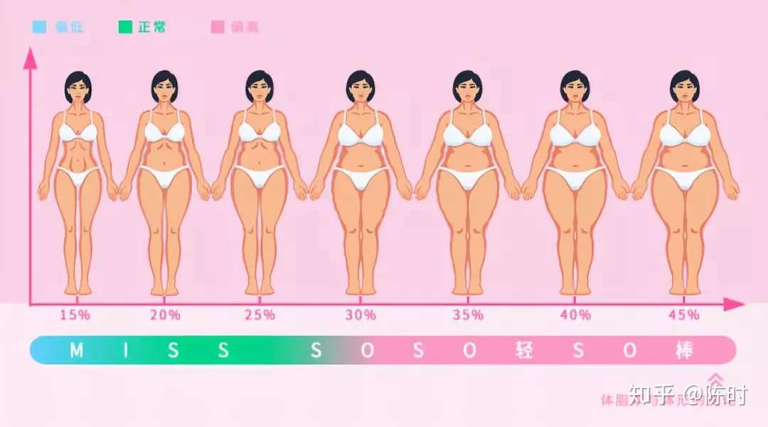 40 代 女性 体 脂肪 率