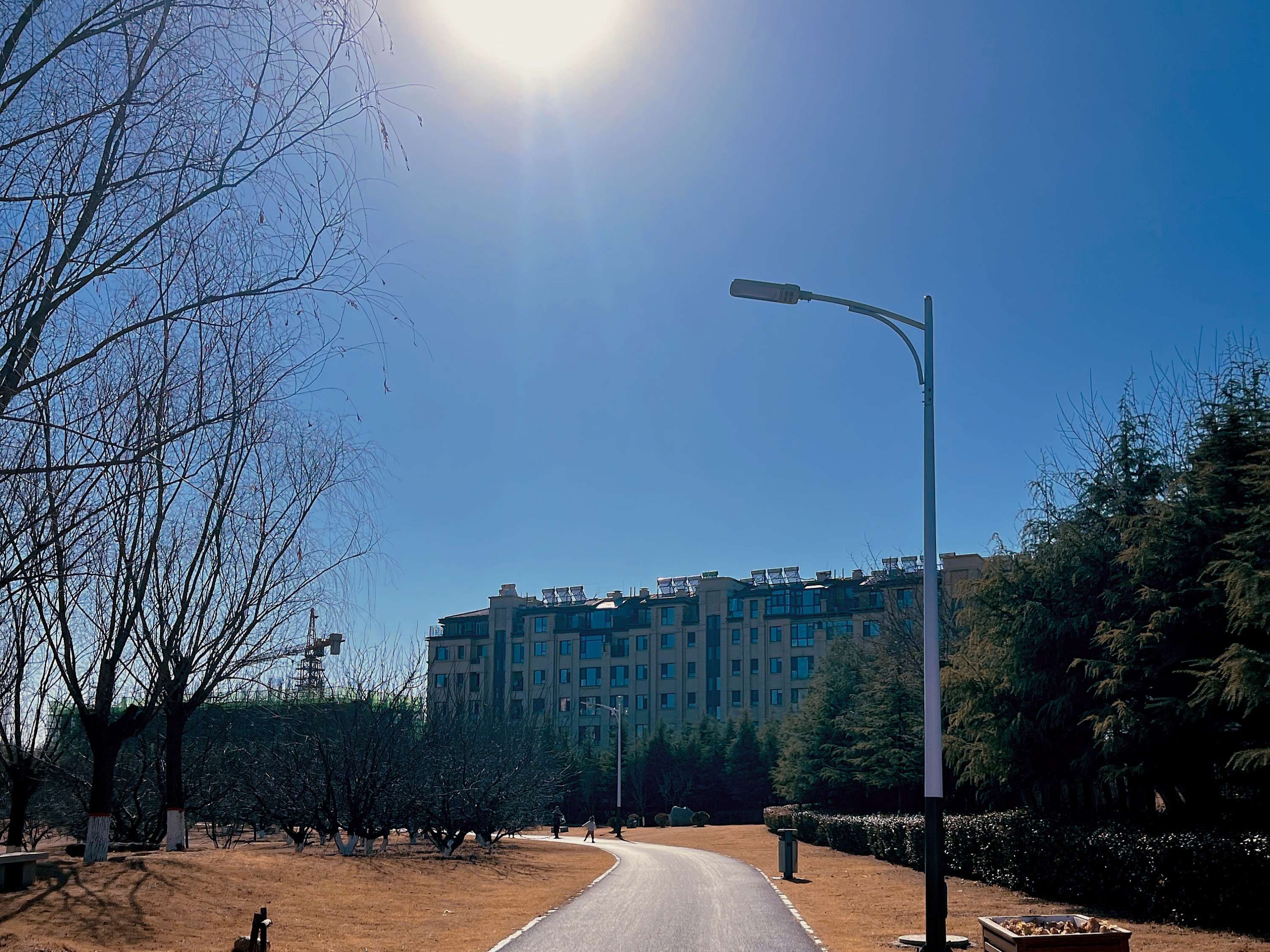 狗子 的想法: 早春 | #春日打卡# 清晨,慢跑在林间,呼… - 知乎