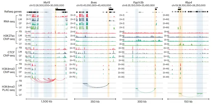 《特定蛋白介导的染色质互作捕获技术：ChIA-PET、HiChIP、PLAC-seq》