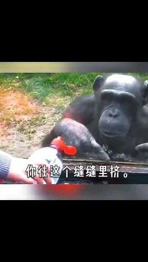 v2-6b2c52af855bf79fdf7328c4b3c71929_720w.jpg?source=1940ef5c