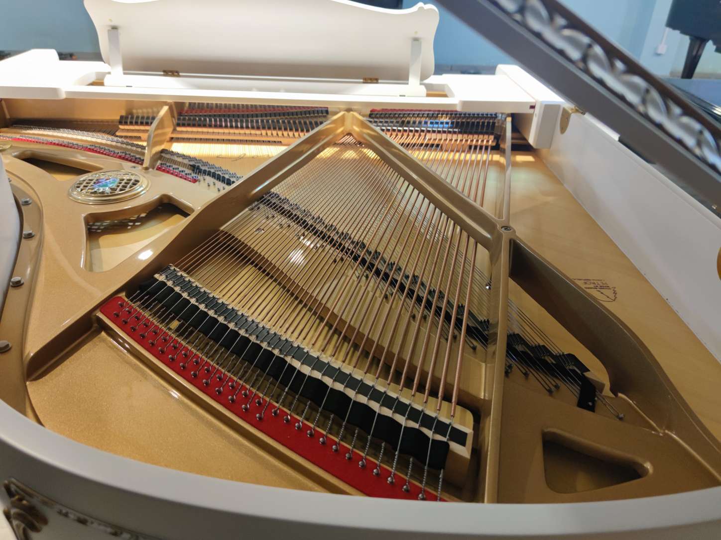 yokawa日本吉川钢琴 的想法: 2017年产petrof佩卓夫p173捷克国宝,长17