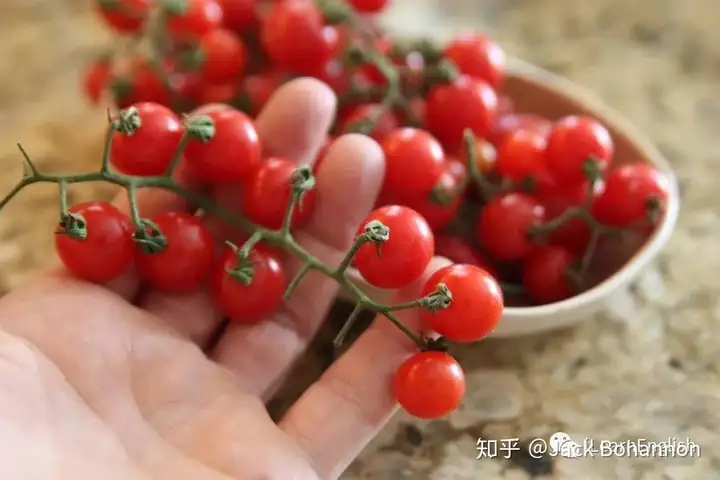 快来看（滁州有没有沙拉酱工厂）轻食酱汁厂家有哪些？，这些西餐沙拉里的蔬菜，英语都叫什么? |10 Common Salad Vegetables，