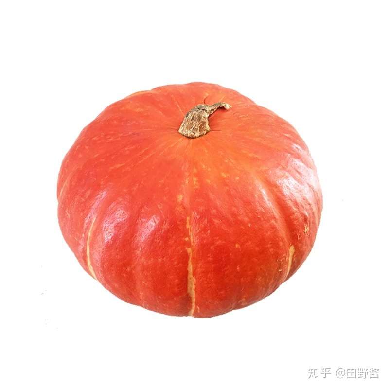 市面上的南瓜那么多 到底要怎么选 知乎