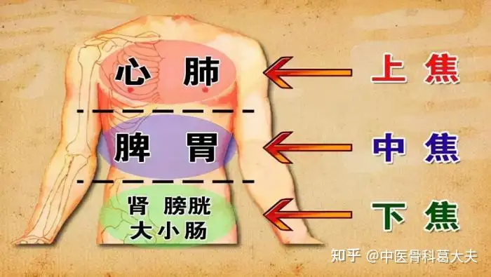 三焦一通,诸症自消!一张方子,清上焦、通中焦、利下焦- 知乎
