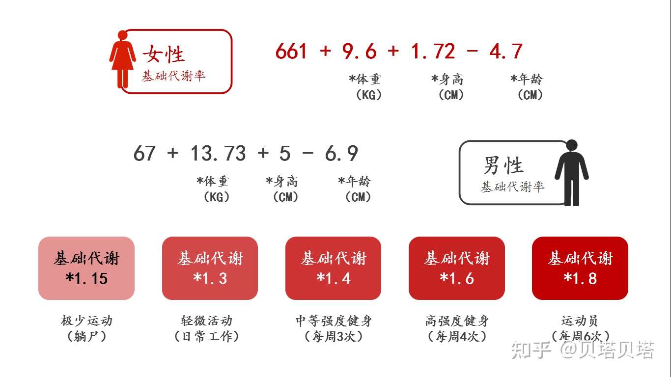 基础代谢到底重不重要 一篇文章告诉你 关于bmr你需要知道的一切 知乎