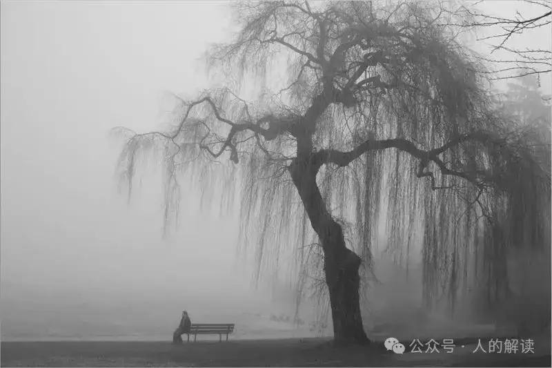 悲伤的释放方法就这么简单-人的解读