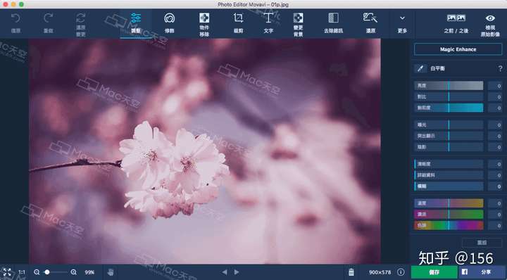 照片编辑软件movavi photo editor for mac