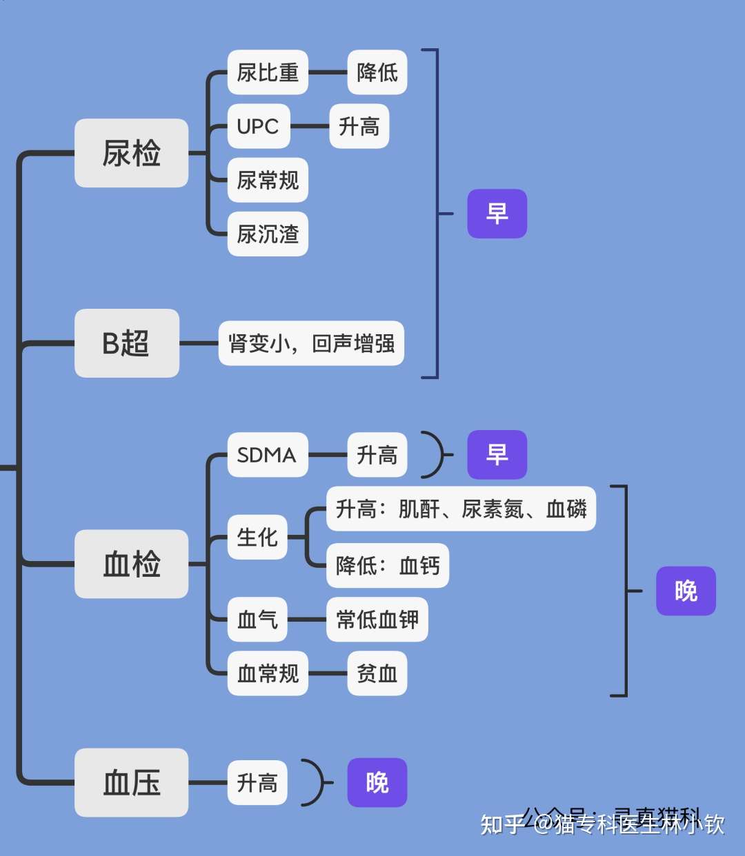 猫慢性肾病（CKD）2.1系列 多饮多尿、慢性呕吐、粘膜苍白、口臭、体重 