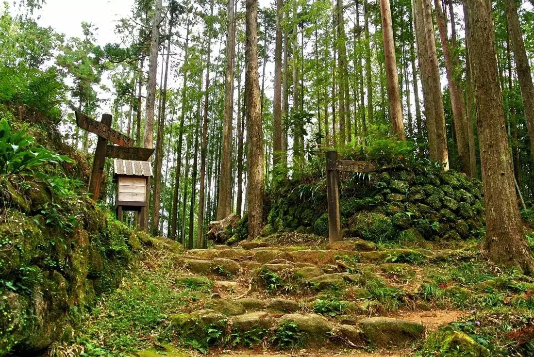 日本熊野古道 探寻藏在秘境之中的朝圣之路 知乎