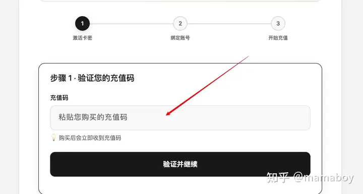 输入填写的卡密/充值码
