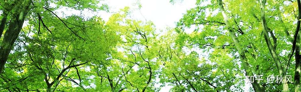 日本高中留学成蹊高等学校 知乎