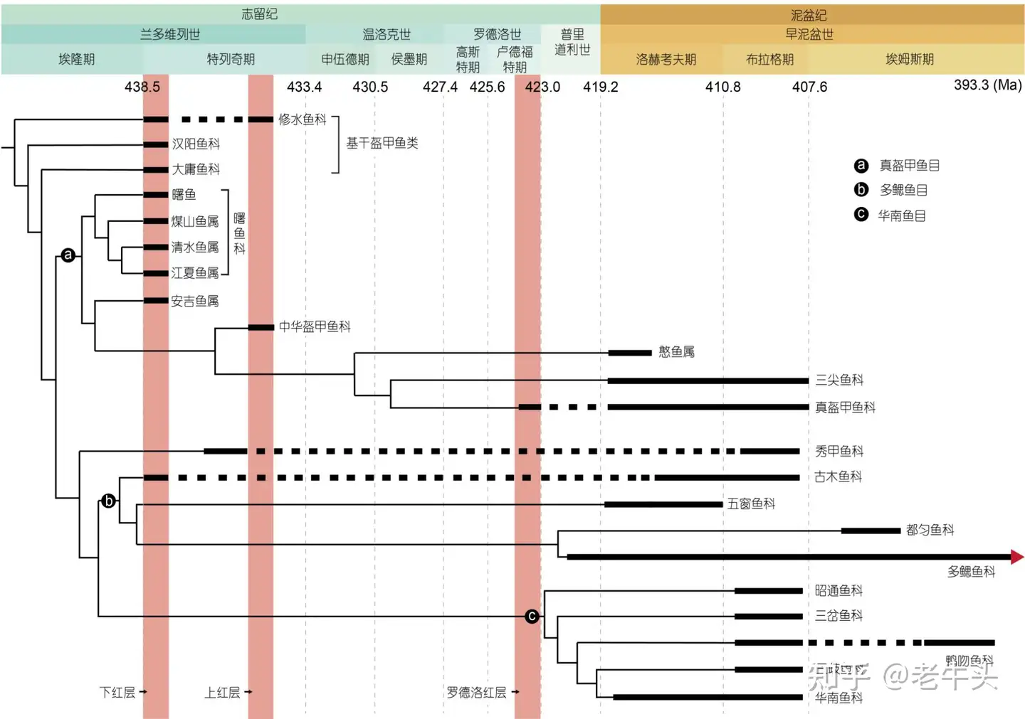 Bold Theory” That T. rex Was 3 Species Rebutted – “Tyrannosaurus rex  Remains the One True King of the Dinosaurs”