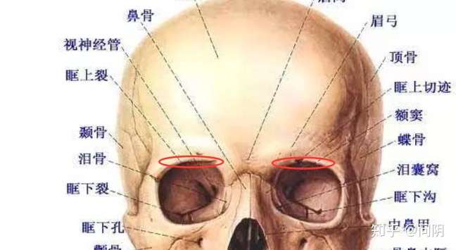 有哪些应该坚持的好习惯