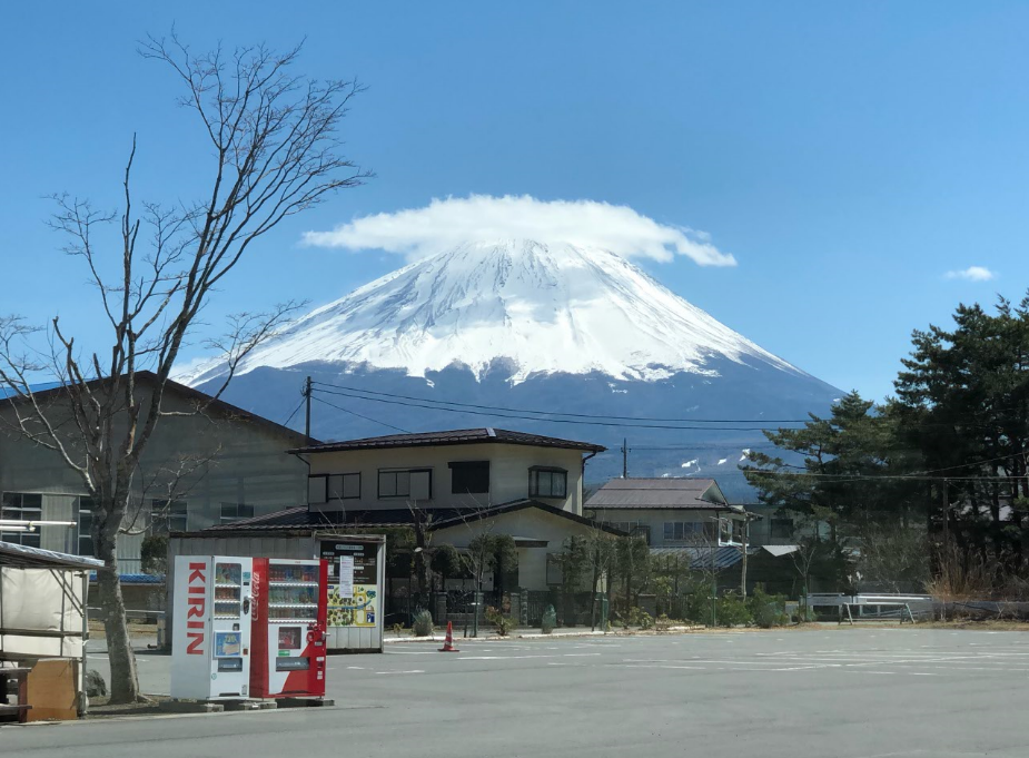 实探日本 自杀名所 青木原树海 没传闻那么玄 遇见人才可怕 知乎