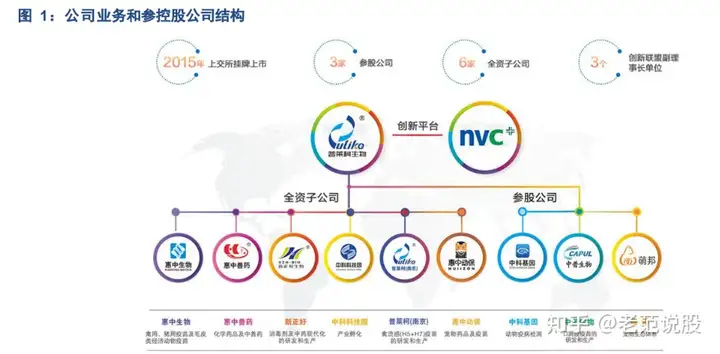 动保行业，普莱柯：大单品优势持续巩固，品类拓展打开增长新空间