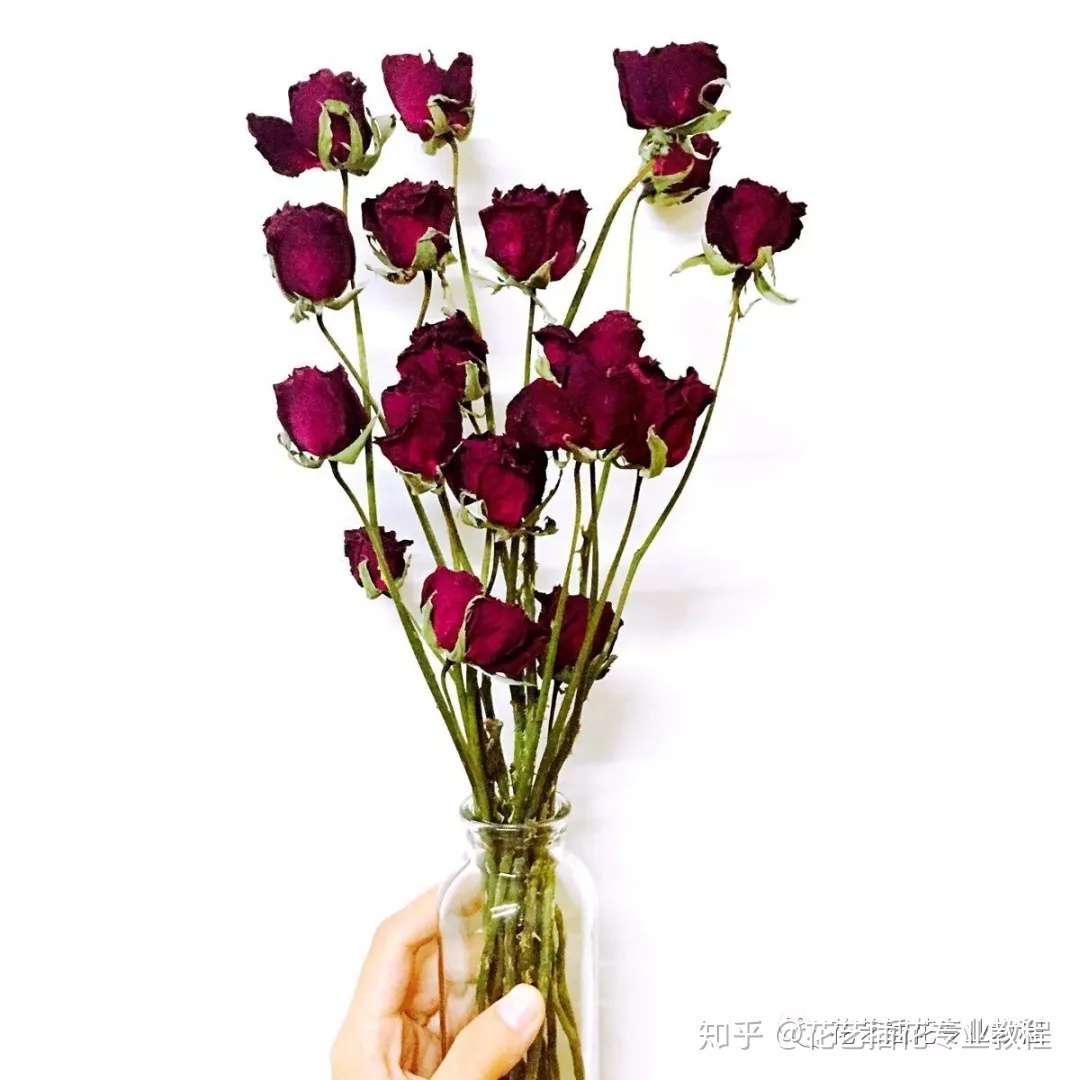 花艺培训教程 干花的制作方法 知乎
