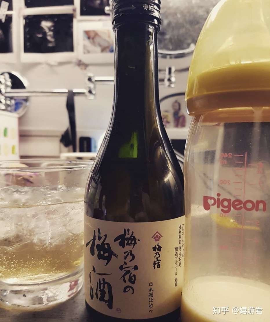 一不小心 跌入了梅子酒的奇妙世界 知乎 一不小心 跌入了梅子酒的奇妙世界 知乎