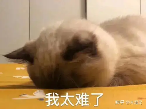 比较好用的飞机杯品牌有哪些真正好用的飞机杯