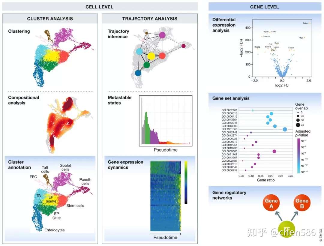 重磅综述 三万字长文读懂单细胞rna测序分析的最佳实践教程 原理 代码和评述 知乎