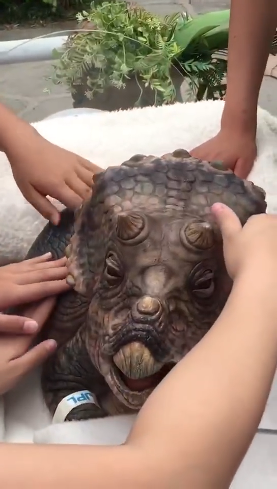 什么是动物模型 v2-72f2c86c359daf67df39d7a2985349b0_720w.jpg?source=1940ef5c