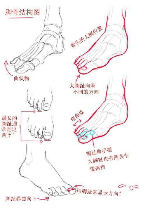 脚怎么画 脚的百种动态绘法技巧奉上 知乎