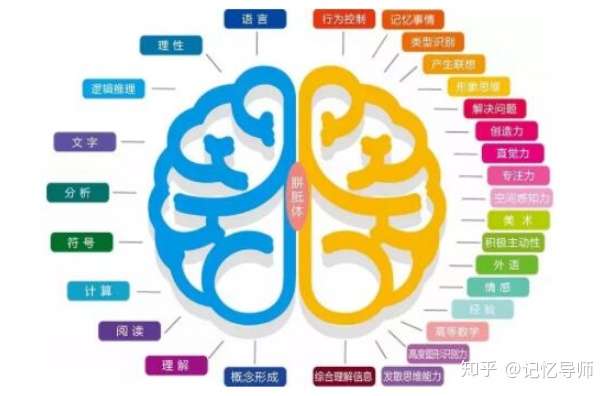 如何快速提高记忆力，提高记忆力掌握这4个步骤，就能过目不忘
