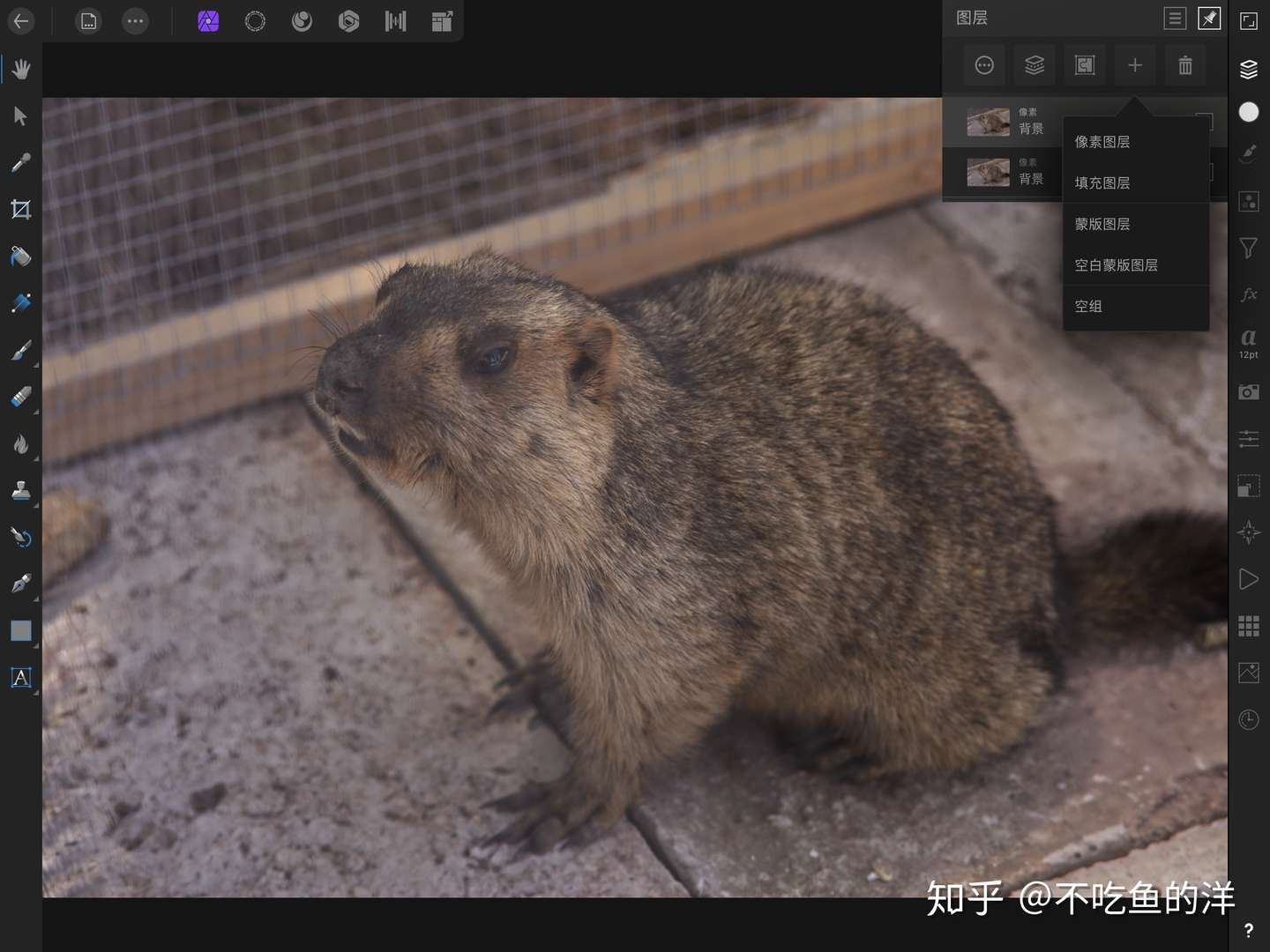 Affinity photo for iPad新手不得不掌握的工具：图层与蒙版- 知乎