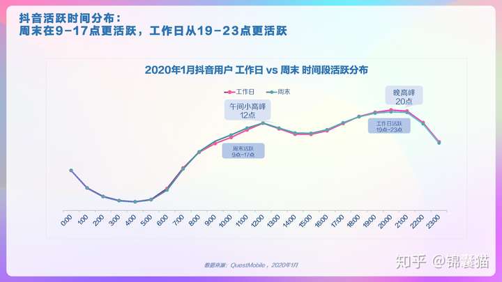 2020抖音用户画像分析