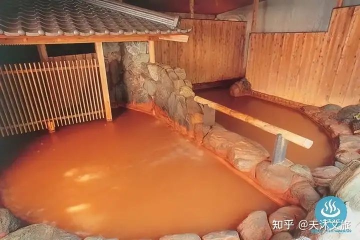 银杏金汤-鲁地天沐温泉度假区
