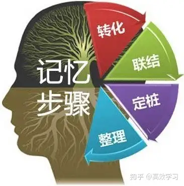 還在為記憶知識太慢而煩惱,我很樂意運用科學的方法幫助你提升記憶力