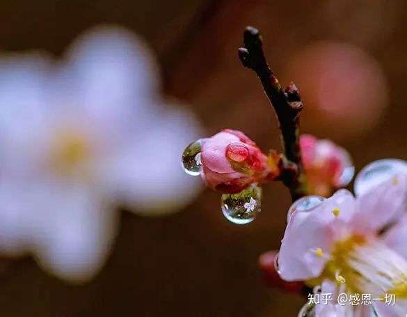 春風化雨潤物無聲是春天