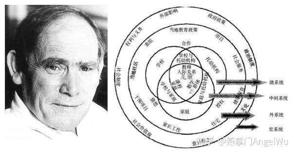 布伦分布伦纳和生态系统理论