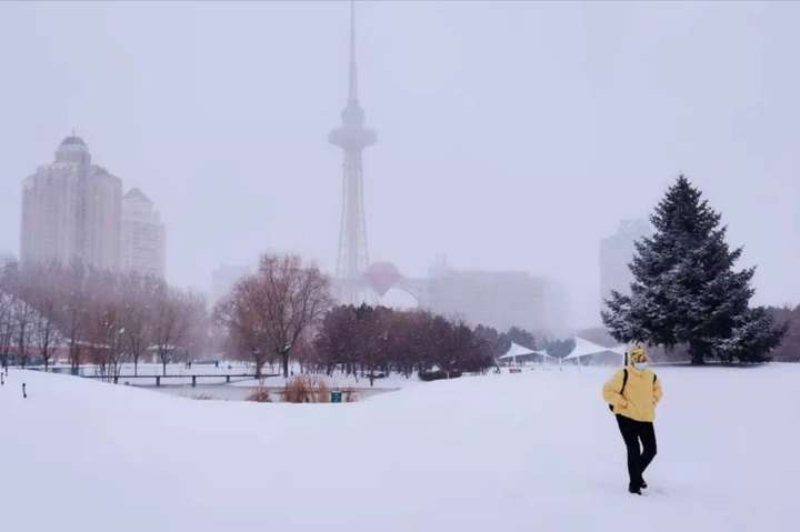 坐标哈尔滨朋友圈被大雪承包了