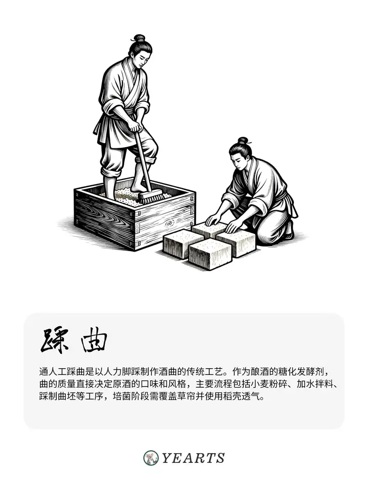图片[3]-传统白酒酿造工艺流程-yearts