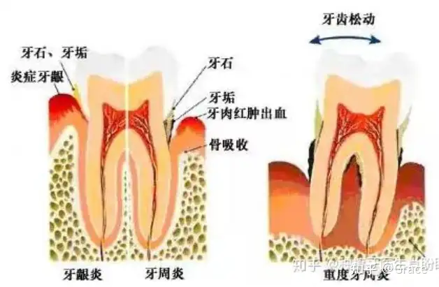 科亿-稍馒恃聘笑菊(图1)