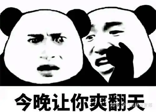 2021适合新手飞机杯深度解析适合新人的几款飞机杯