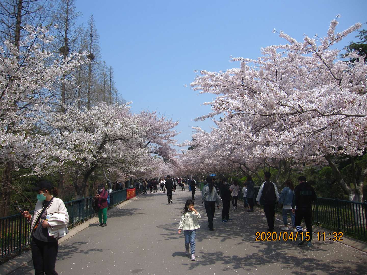 亲民学派女团 最基础的三项人设 生日 身高 血型 知乎 亲民学派女团 最基础的三项人设 生日 身高 血型 知乎