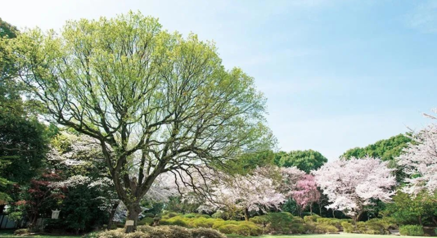 成为网红大学需要具备哪些特质 知乎