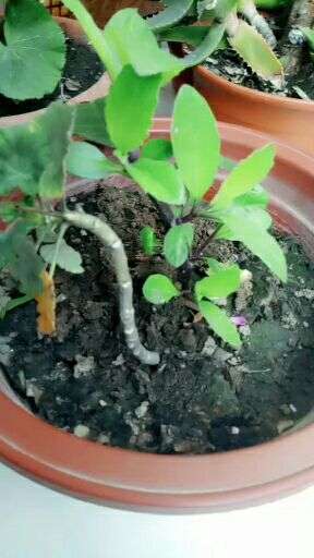 v2-76c3df2edc8d98ac670d9e2de72a0840_720w.jpg?source=1940ef5c