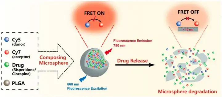 《蛋白互作检测之FRET荧光共振能量转移：分子间距离的微妙舞者（二）》