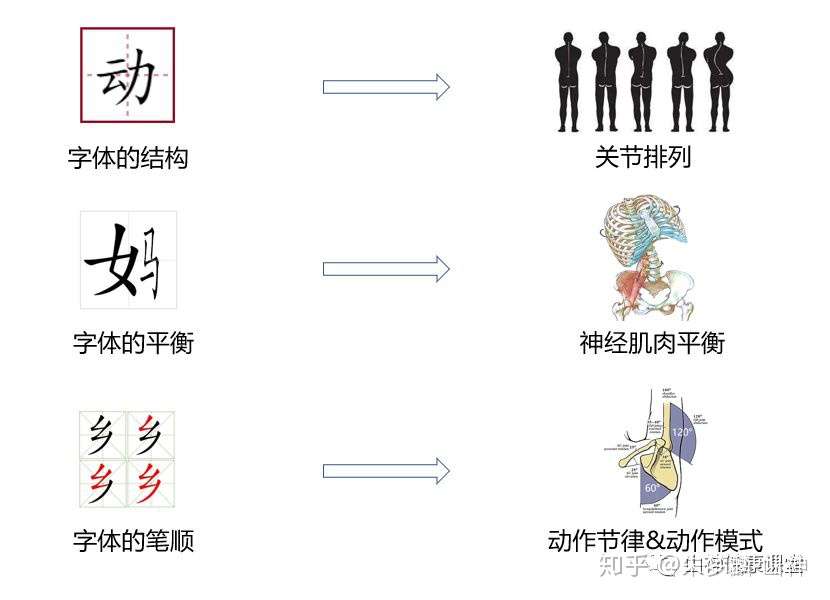 谈谈矫正训练 知乎